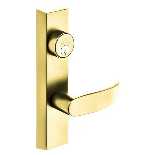 Grade 1 Exit Device Trim, Storeroom Function, Freewheeling Trim, Key Unlocks Trim, Trim Retracts Latch, Trim Relocks when Key is Removed, For Surface Vertical Rod and Mortise (8700, 8900 Series) Devices, 1-1/8 In. Mortise Cylinder, P Lever, RHR, Bright Brass Bright Brass