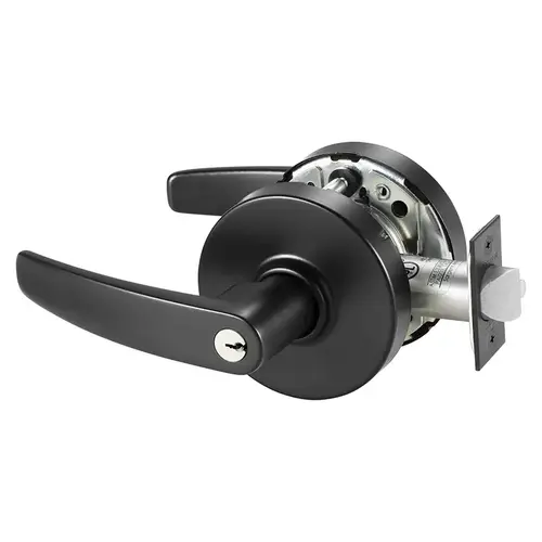 Utility Asylum Institutional (F87) Double Cylinder Cylindrical Lever Lock Grade 1 with B Lever and L Rose with LA Keyway KD and ASA Strike Black Suede Powder Coat Finish