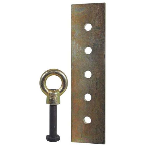 AES Industries 4453 Eye Bolt & Pull Plate