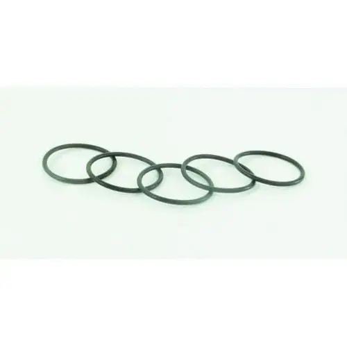 SSG-8096-K5 Replacement O-Ring, Use With: PT II ASME Code Pressure Tank