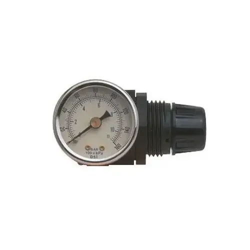 Mini Regulator with Gauge, 1/4 in NPT, Use With: HVLP Spray Gun