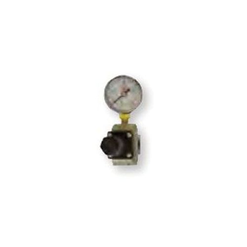 RTi RG25 Regulator and Gauge Assembly, 1/4 in