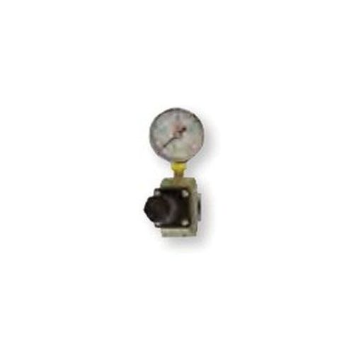 RTi RG40 Regulator and Gauge Assembly, 1/2 in