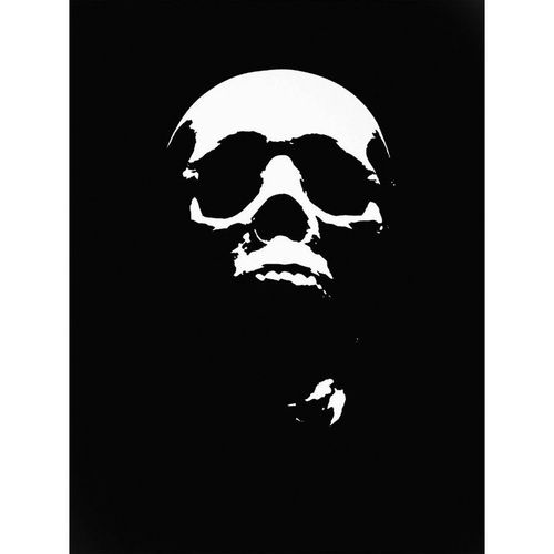 T1 Pro Series 1 Pack 1 Skull Stencil, 7 mil THK, Mylar