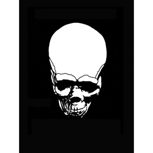 T4 Pro Series 1 Pack 4 Skull Stencil, 7 mil THK, Mylar