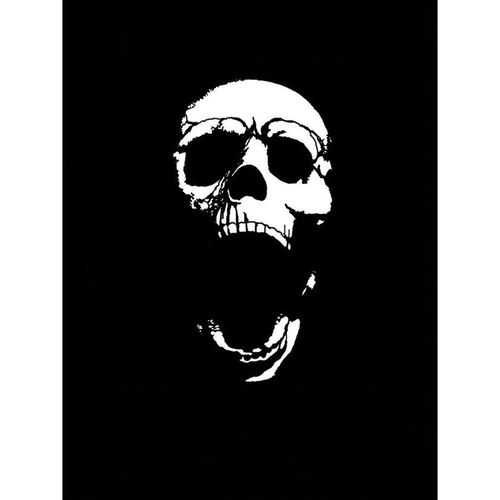 T6 Pro Series 1 Pack 6 Skull Stencil, 7 mil THK, Mylar