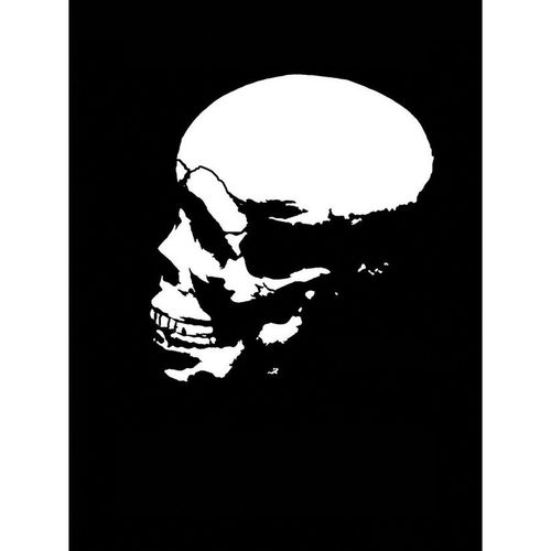 T7 Pro Series 1 Pack 7 Skull Stencil, 7 mil THK, Mylar