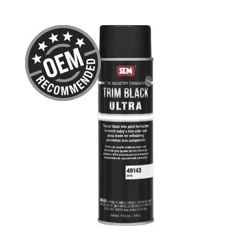 Trim Paint, 20 oz, Satin Black, 3 to 5 min Curing, Aerosol