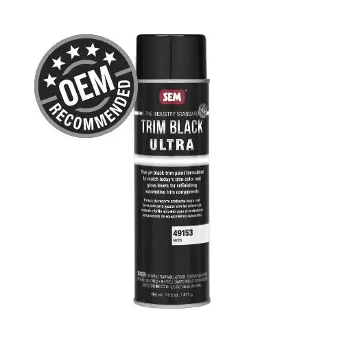 Trim Paint, 20 oz Aerosol Can, Gloss Black