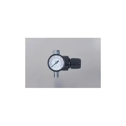 Locking Air Regulator and Gauge, 1/4 in, 0 to 180 psi