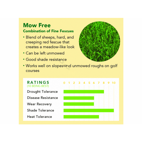 DELTA BLUEGRASS COMPANY MOWFREE 5 Delta Bluegrass 5# Mowfree Seed