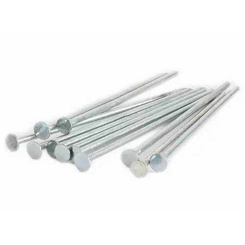 Nail-6" Gal50lb 50# 6"x15/32" 8ga Eg Tile Galvanized Nails