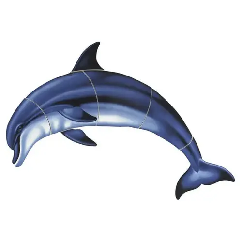 Bottlenose Dolphin -a 18"x11"