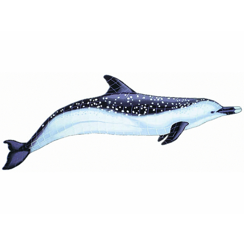 Spotted Dolphin 33"x11"