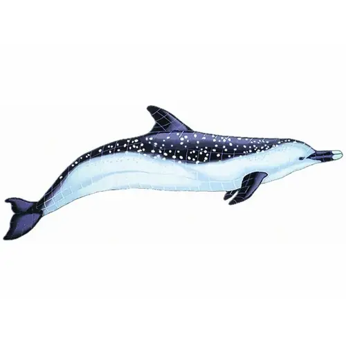 Spotted Dolphin 33"x11"