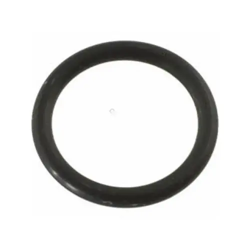 Waterway Plastics 805-0116EP O-ring, #116 Epdm - 1/2"air Control
