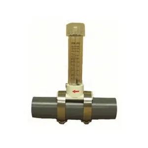 Pulsafeeder U8800424 Flowmeter 1", Color: Clear