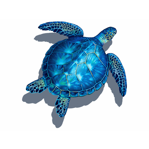 24" Blue Sea Turtle W/ Shadow