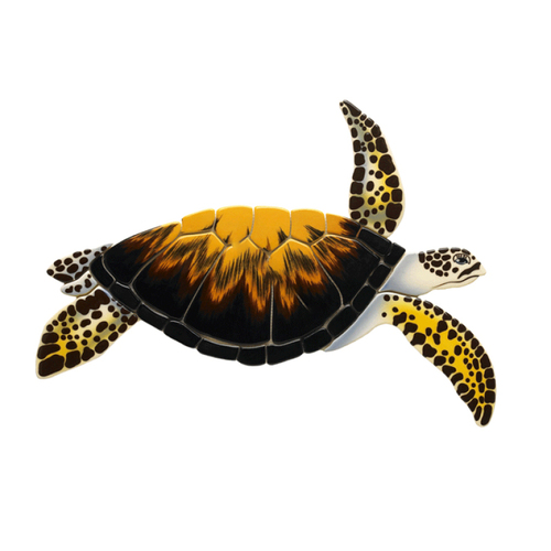 Loggerhead Turtle 40"x32" W/sh