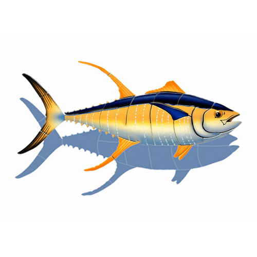 Right Yellow Tuna 18"x12" W/ Sh