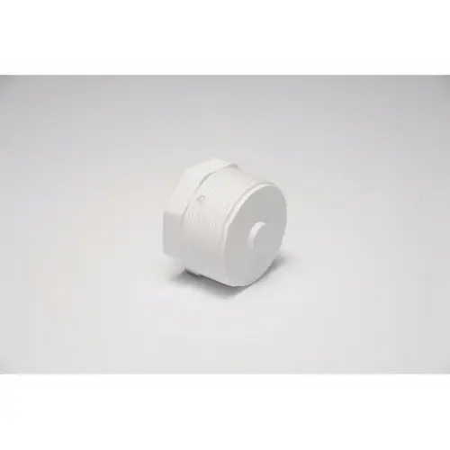 .5" White Sch 40 Pvc Mipt Plug