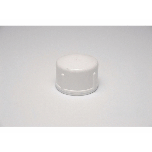 2" White Sch 40 Pvc Fipt Cap