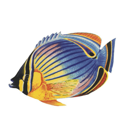 Custom Mosaics PORC-RF24-9 Redfin Butterflyfish 9"x6"