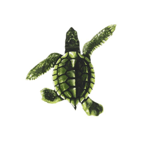 Custom Mosaics PORC-ST21B Green Baby Turtle - B 5"x5"