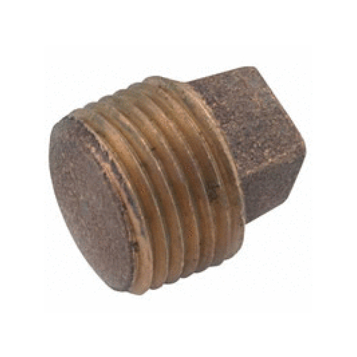 1.25" Brass Plug