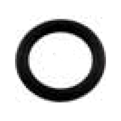 Waterway Plastics 8050112 Oring, 112 Pump Drain Plug