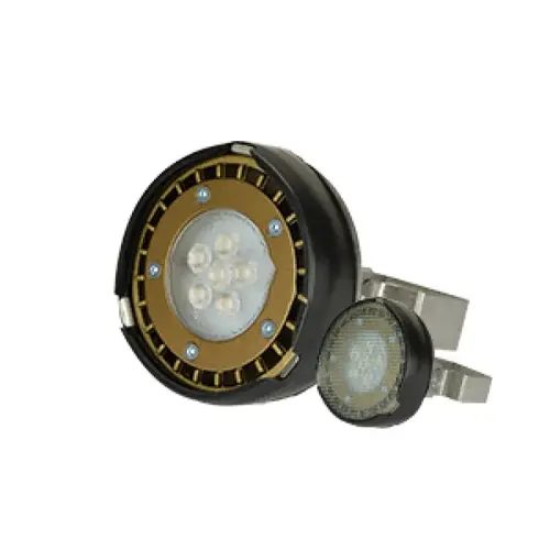 Ss Gimble Ring Par36 Led Lamp