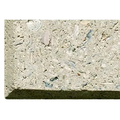 Artistic Pavers SLPTAN12 Tan Shellock Paver - 1 Square Foot