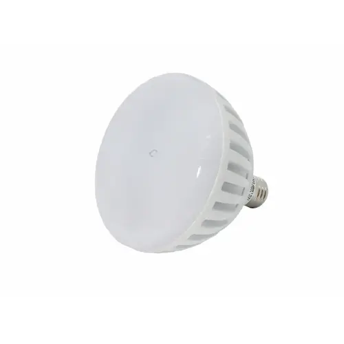 J & J Electronics LPL-P2-RGBW-120 Colrsplsh Pool 120v Rgbw Color Led Lamp R40