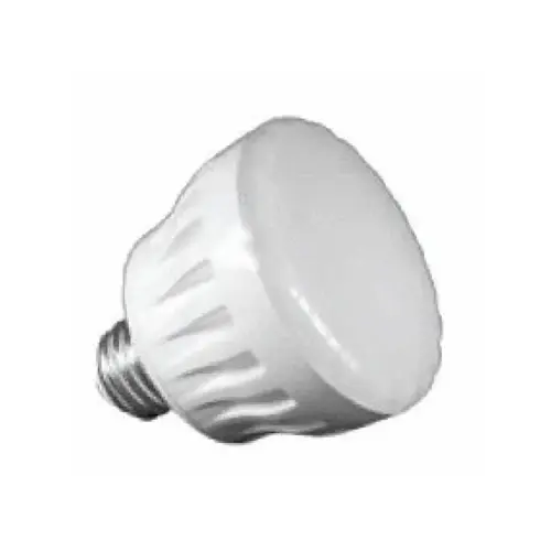 Colrsplash Spa 12v Rgbw Color Led Lamp R20