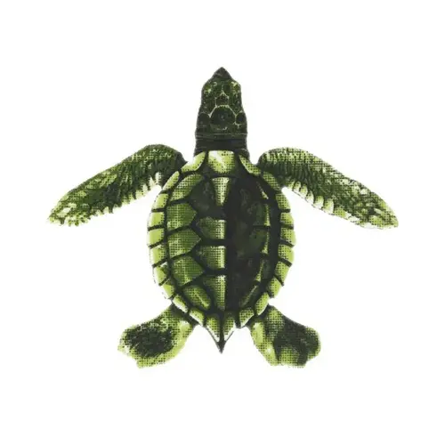 Green Baby Turtle - C 5"x5"