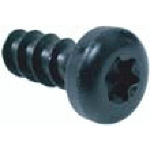 K80x20 Torx Pn Hd Pt Screw