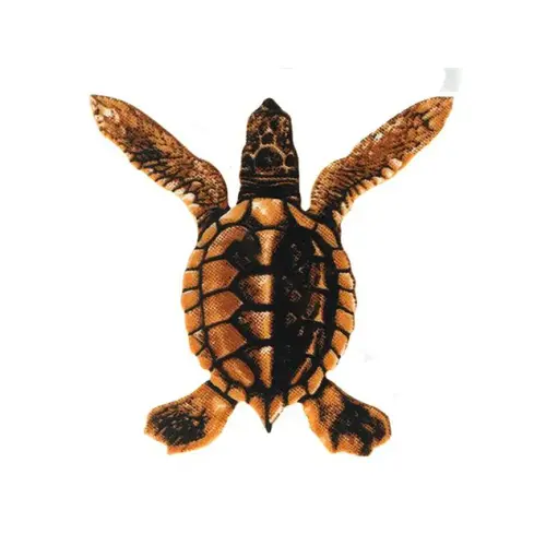 Baby Turtle A - Brown 5"x5"