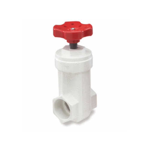 2" Pvc Gate Valve S X S White