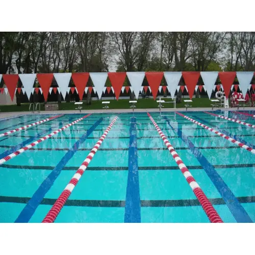 Black Champion Backstroke Pennants