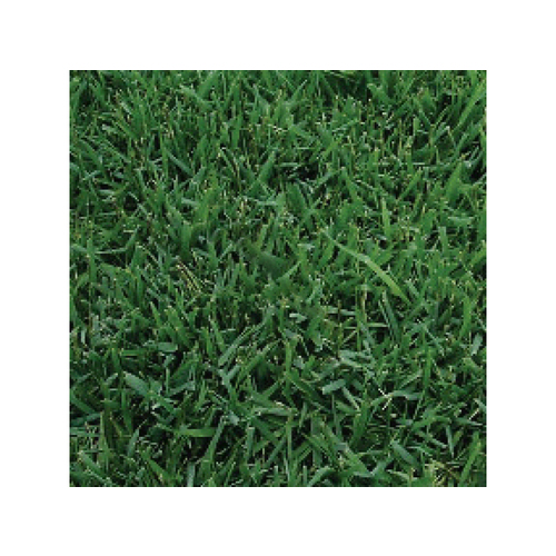 Evergreen Turf Bermuda Sod