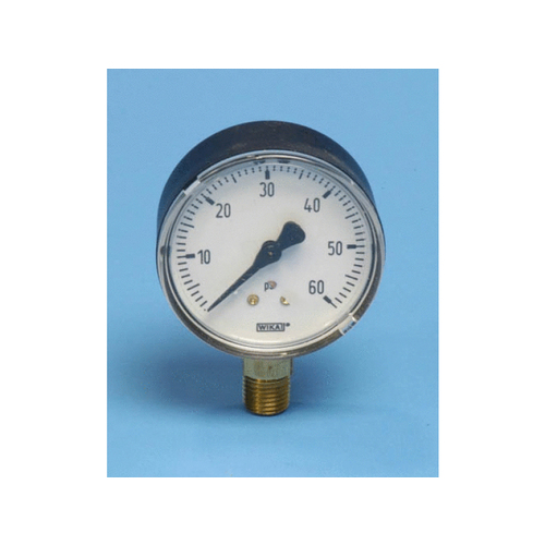 NISCO G25-11110-2L-10 2-1/2" Dial 60 Psi Dry Pressure Gauge