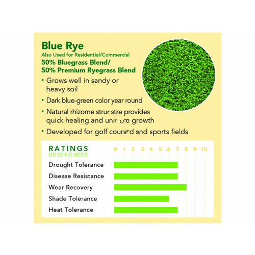 DELTA BLUEGRASS COMPANY BLUE RYE 10 Delta Bluegrass 10# Blue Rye Seed