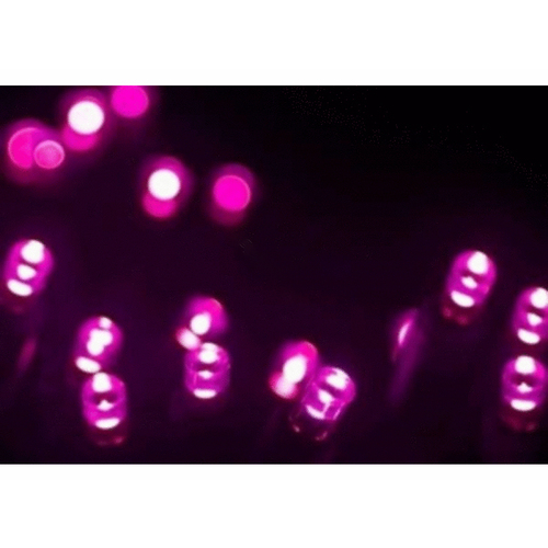 THE SOURCE INC 45661R-B 70 Lights, 4" Spacing, Pink, Led 5mm Professional Grade String Lights