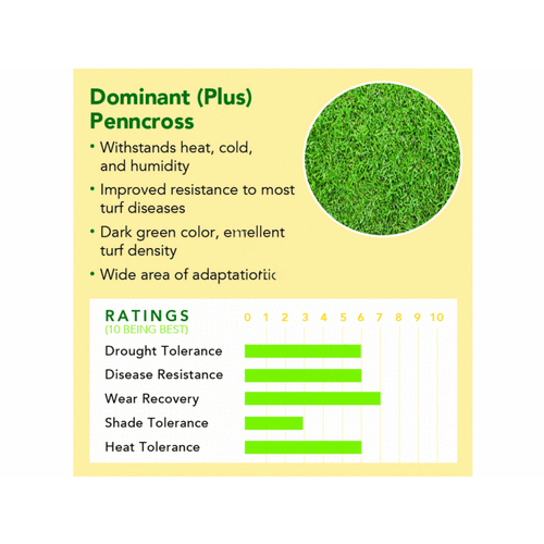 DELTA BLUEGRASS COMPANY BENTGRASS 25 Bentgrass 1 Delta Bluegrass 1# Native Bentgrass Seed