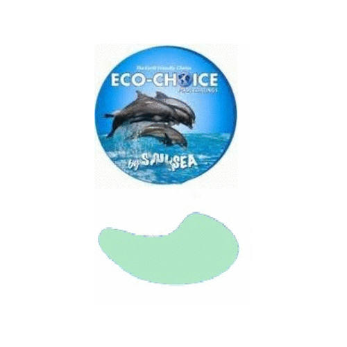 Sau-Sea Products 1ECPEAG Gal Aqua Green Ec Premium Epoxy High Gloss Aquagreen