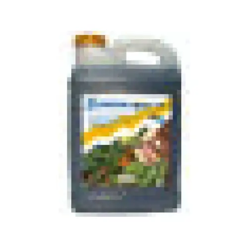 PLANT HEALTH INTERMEDIATE INC P-F-POR-ESSEB-12X01Q Growth-products Qt Essential Plus Liquid 1-0-1