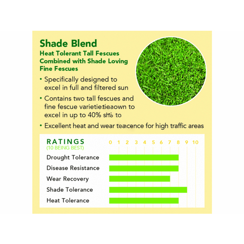 DELTA BLUEGRASS COMPANY SHADE 25 Delta Bluegrass 25# Shade Blend Seed