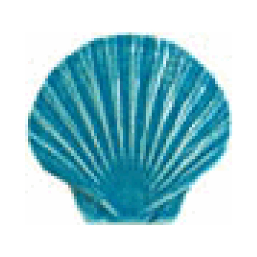 5" Seashell Aqua