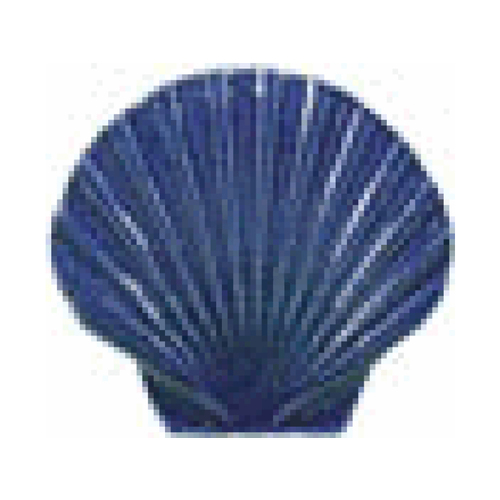 5" Seashell Blue