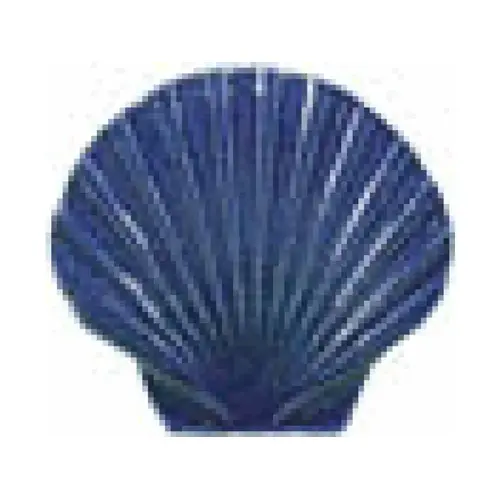 5" Seashell Blue